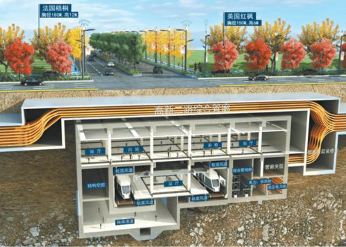 市政道路主干道順利竣工，城市發(fā)展再添新動(dòng)力